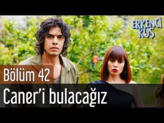 Erkenci Kuş 42. Bölüm – Caner’i Bulacağız