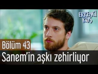 Erkenci Kuş 43. Bölüm – Sanem’in Aşkı Zehirliyor